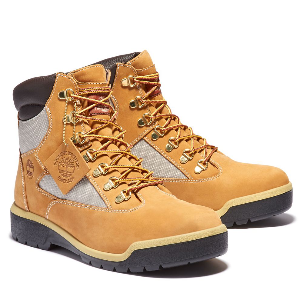 Botas 6-Inch Timberland Argentina Hombre - 6-Inch Waterproof Field - Marrones/Negras - XVOEQK-437